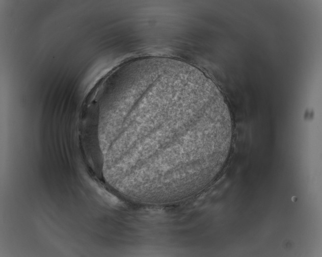 X0000092070194200710101026