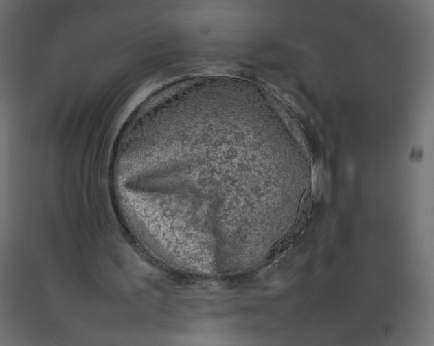 X0000092070195200710101026