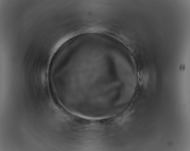 X0000092070196200710101026