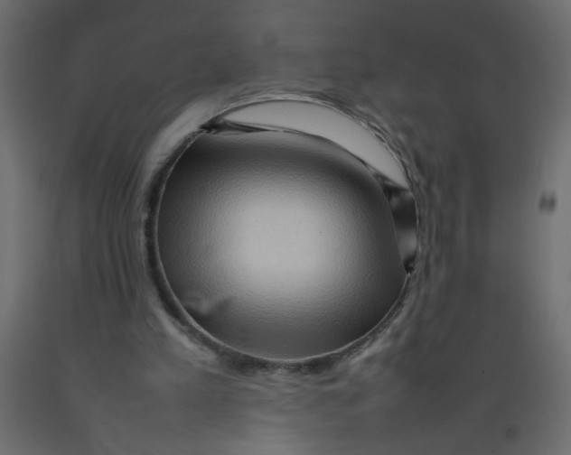 X0000092070197200710101026