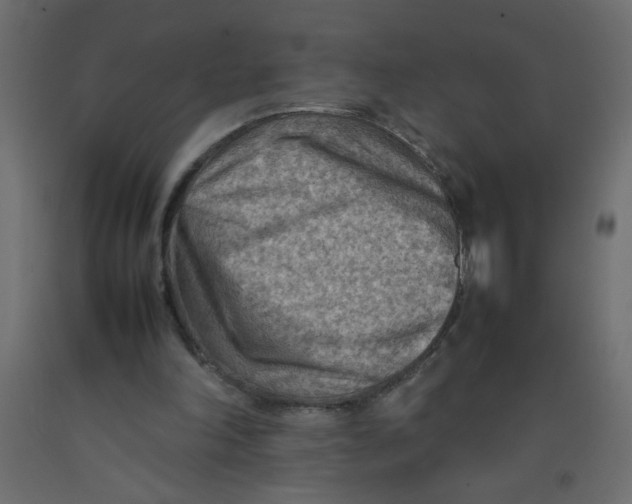 X0000092070198200710101026