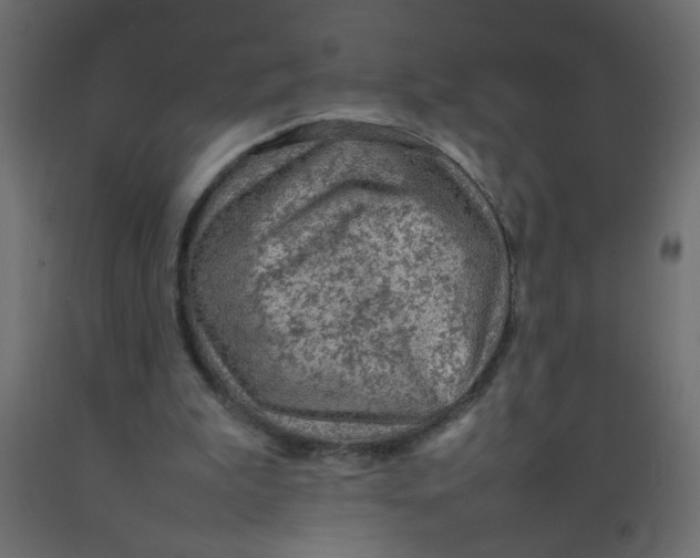 X0000092070199200710101026