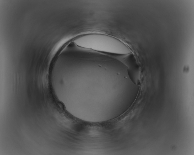 X0000092070200200710101026