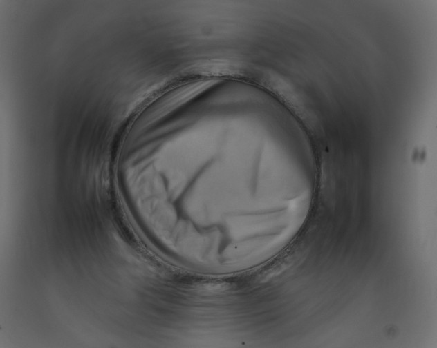 X0000092070202200710101026