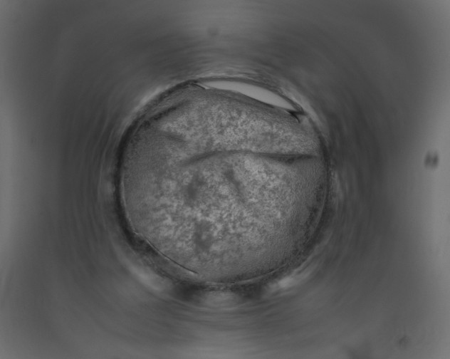 X0000092070203200710101026