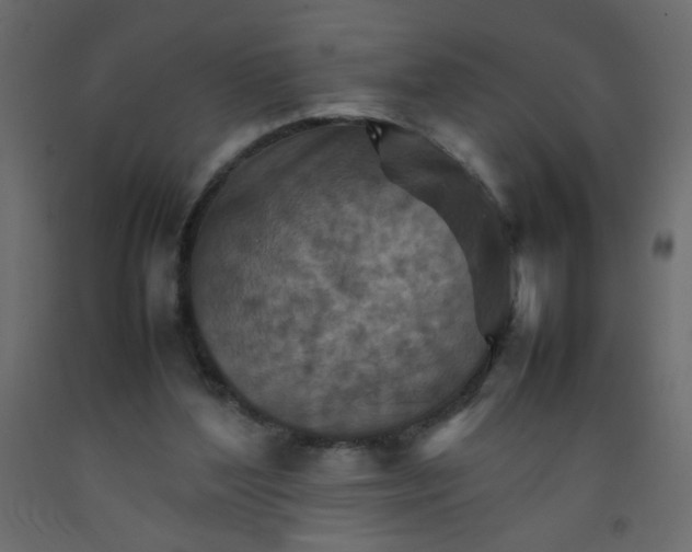 X0000092070204200710101026