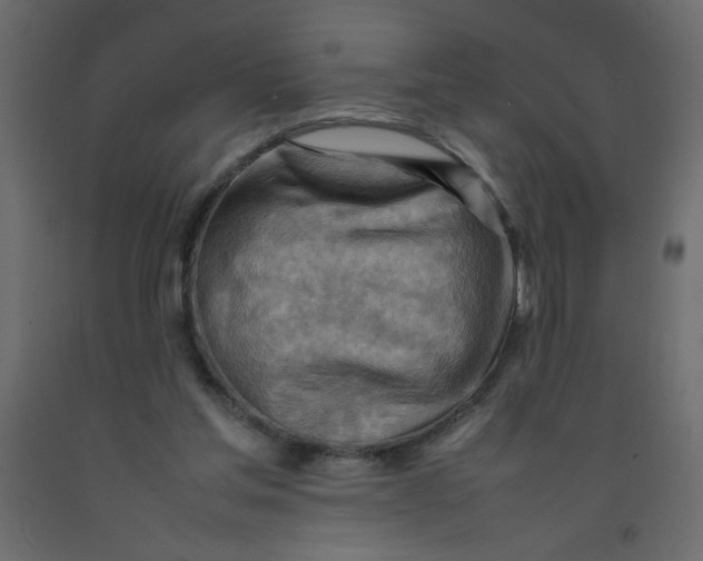 X0000092070205200710101026