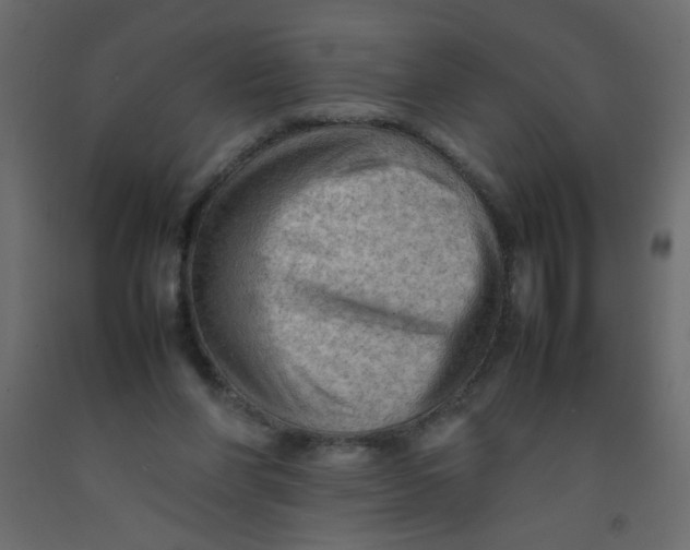 X0000092070206200710101026