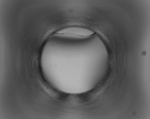 X0000092070207200710101026