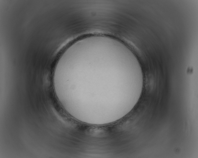 X0000092070208200710101026