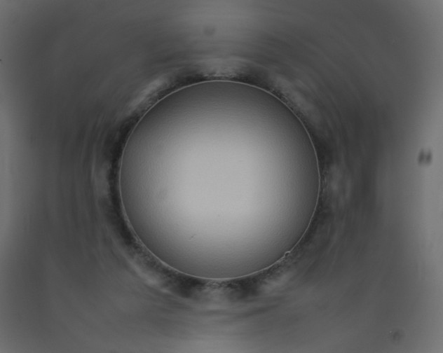 X0000092070209200710101026