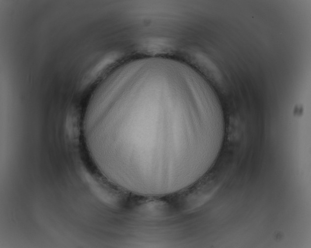X0000092070210200710101026
