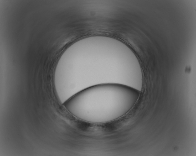 X0000092070211200710101026