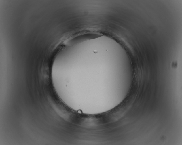 X0000092070212200710101026