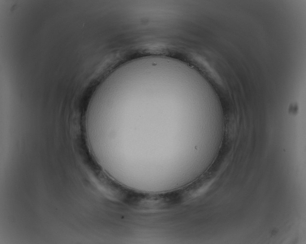 X0000092070213200710101026
