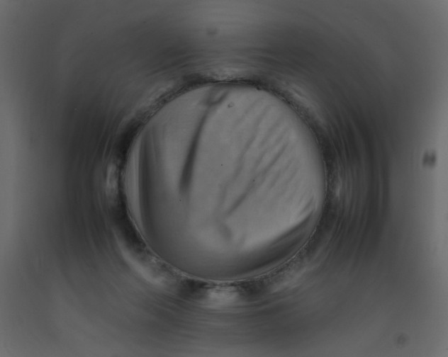 X0000092070214200710101026