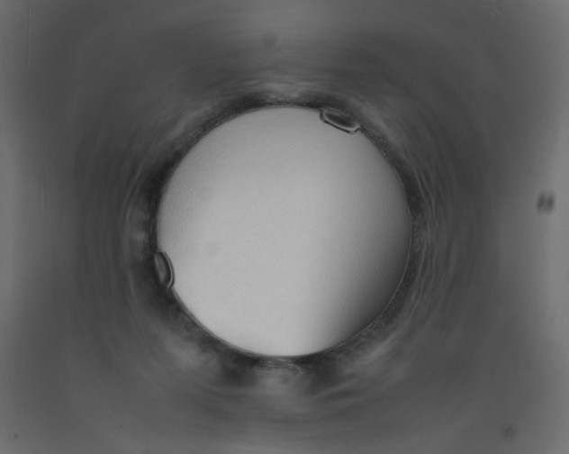 X0000092070215200710101026