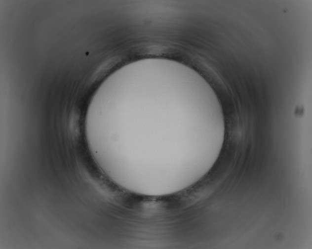 X0000092070216200710101026