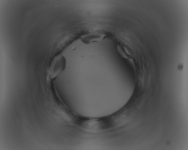 X0000092070219200710101026