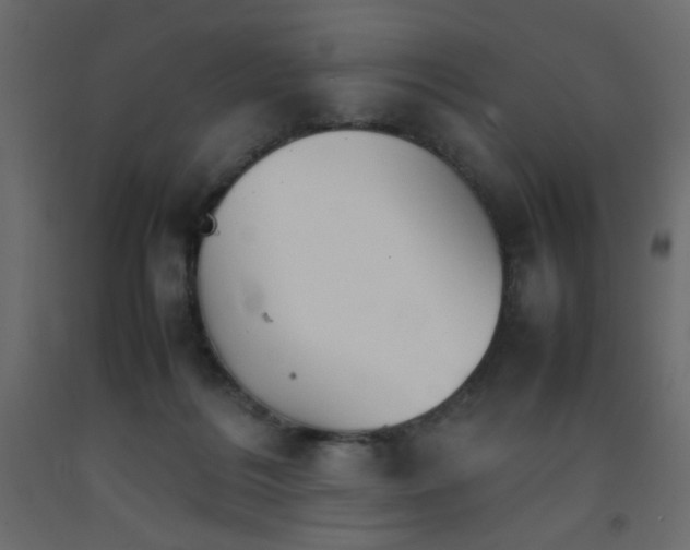X0000092070220200710101026