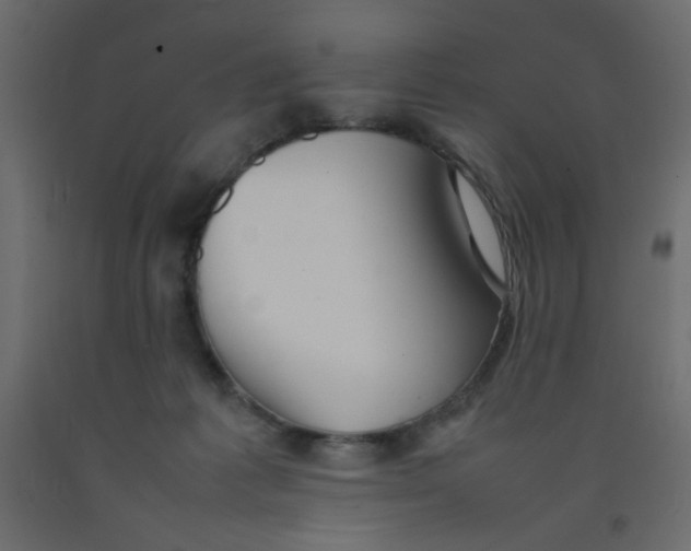 X0000092070221200710101026