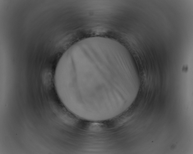 X0000092070222200710101026
