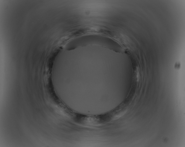 X0000092070223200710101026