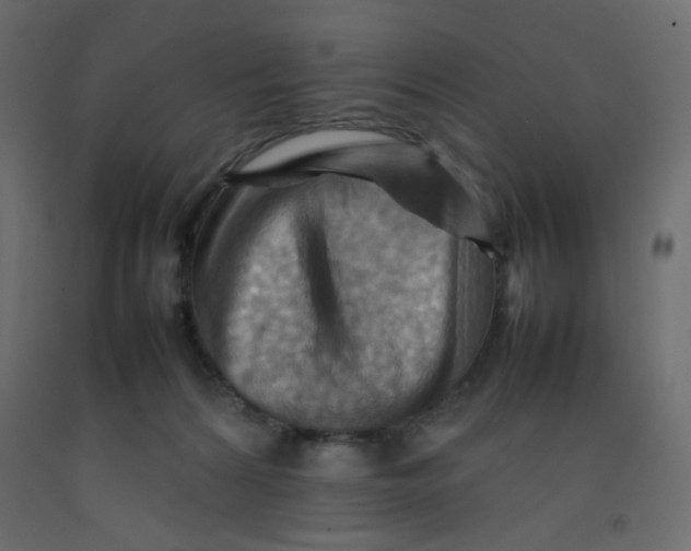 X0000092070224200710101026