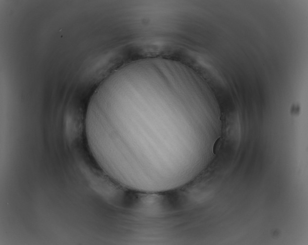 X0000092070226200710101026