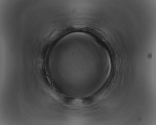 X0000092070227200710101026