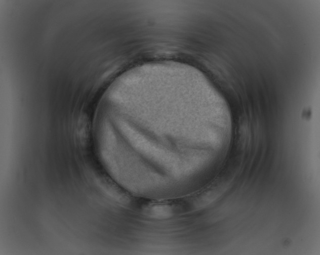 X0000092070228200710101026