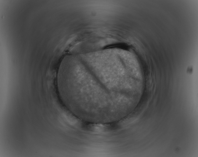 X0000092070229200710101026