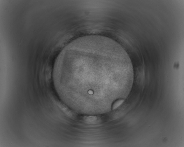 X0000092070230200710101026