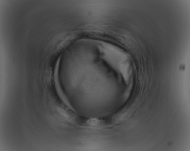 X0000092070231200710101026