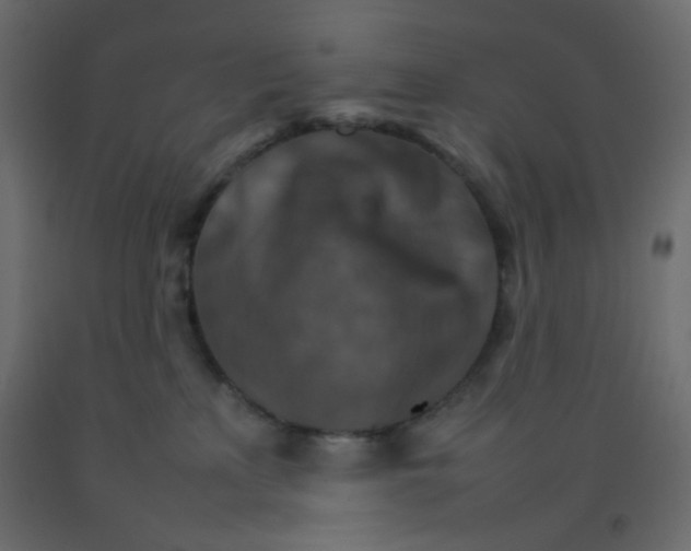 X0000092070233200710101026
