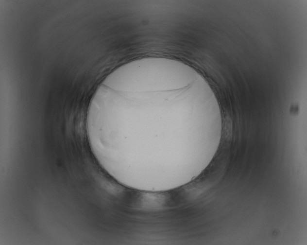 X0000092070234200710101026
