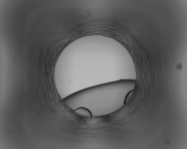 X0000092070235200710101026
