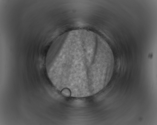 X0000092070236200710101026