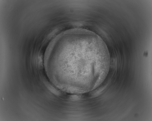 X0000092070238200710101025