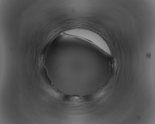 X0000092070239200710101025