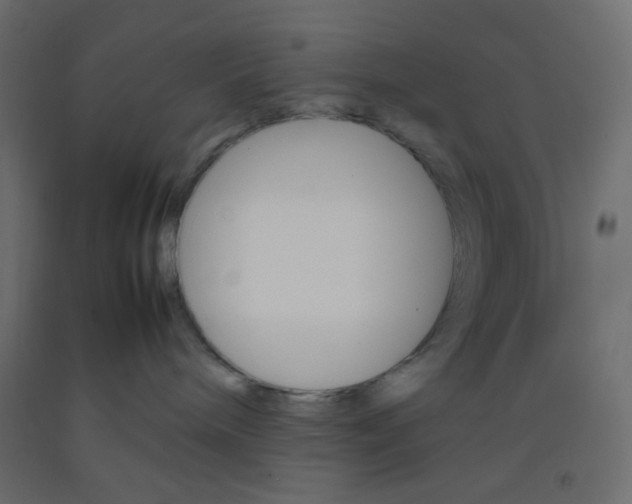 X0000092070240200710101025