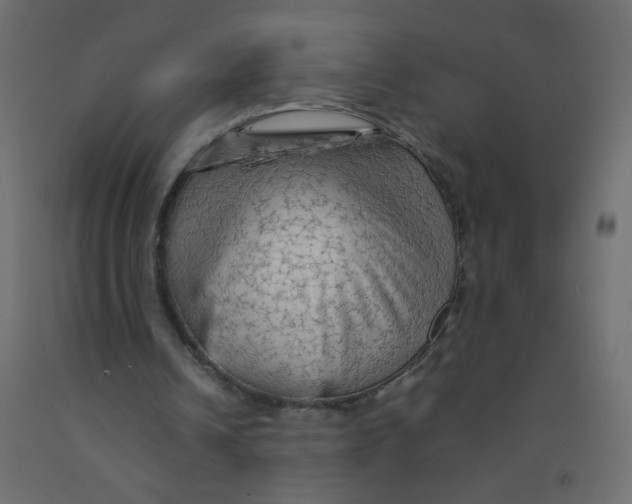 X0000092070242200710101025