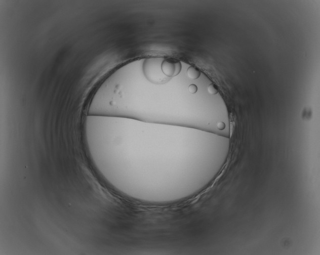 X0000092070243200710101025