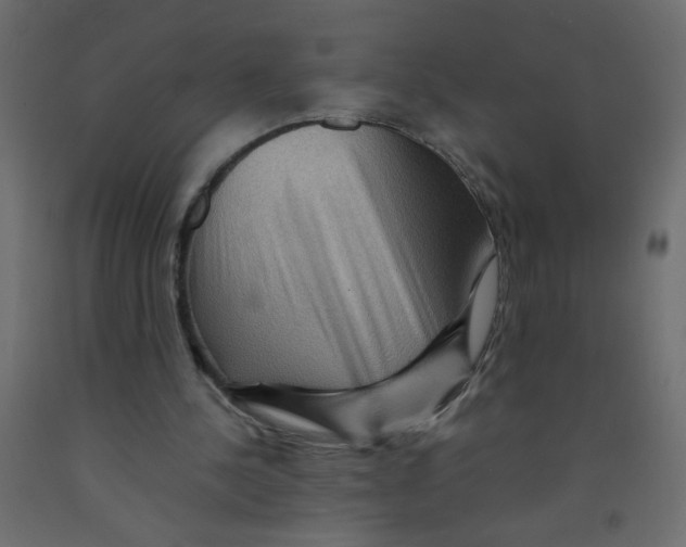 X0000092070244200710101025