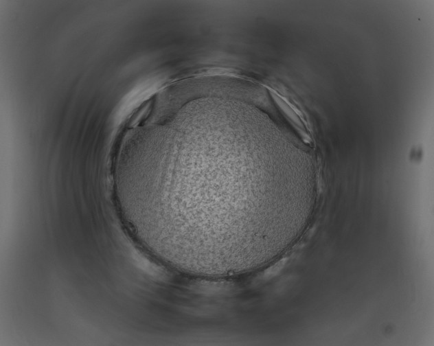 X0000092070245200710101025