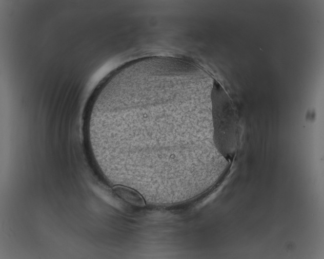 X0000092070246200710101025