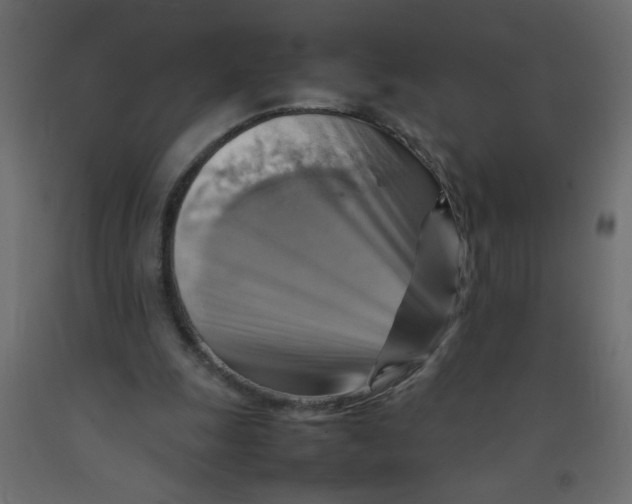 X0000092070247200710101025