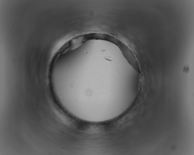 X0000092070248200710101025