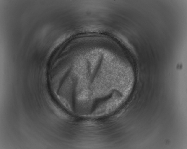 X0000092070250200710101025