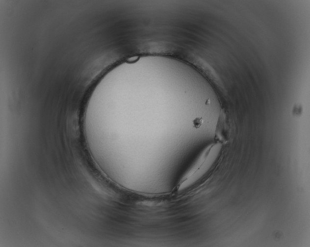 X0000092070251200710101025